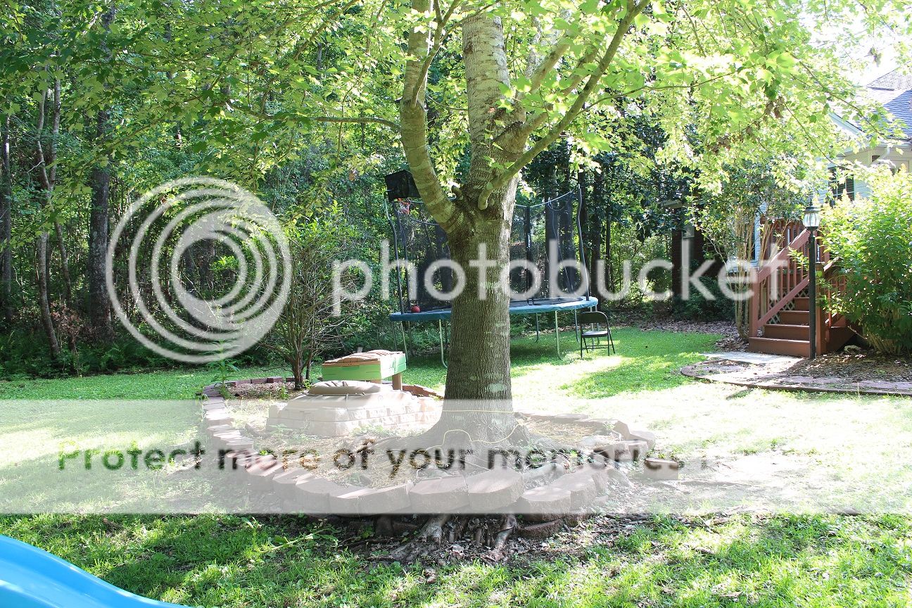 photo house61_zpslhwi8mh1.jpg
