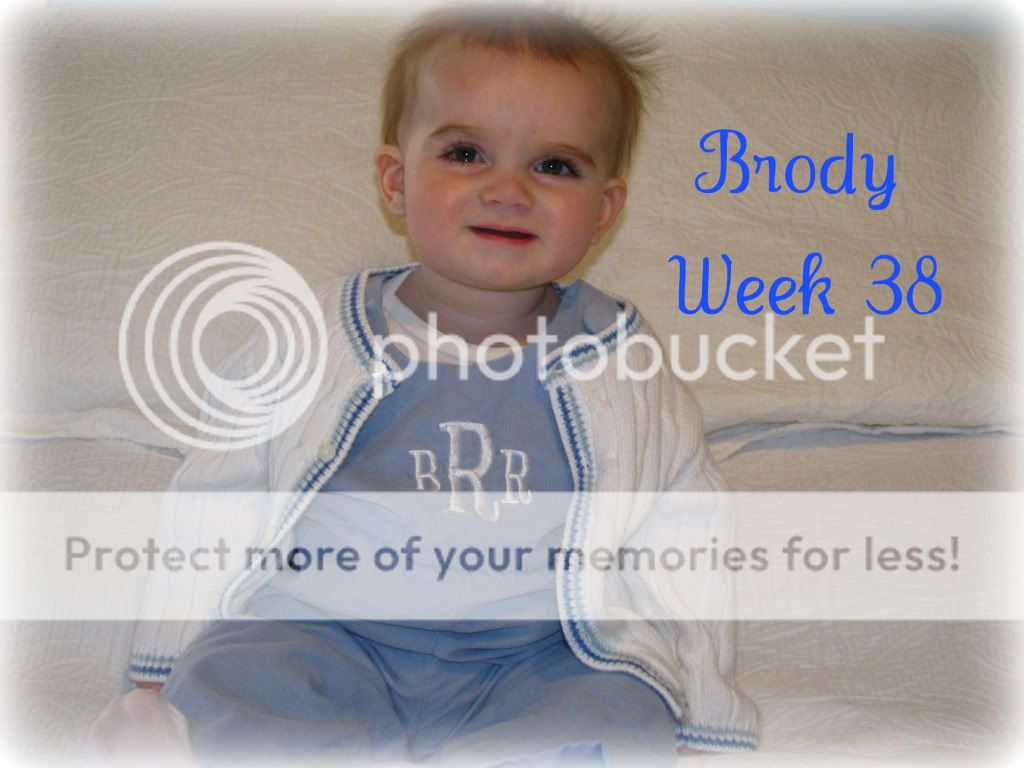 photo Week38.jpg