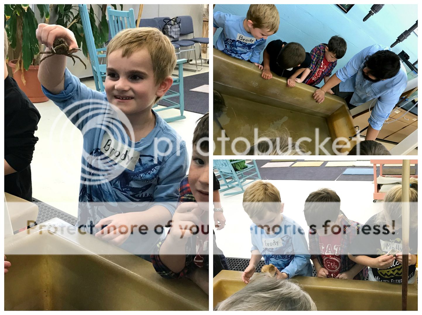photo kindergarten4_zpsvyxgsvgj.jpg