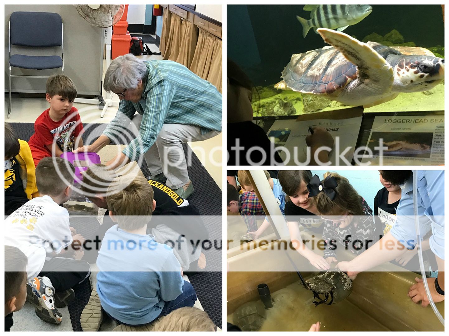 photo kindergarten5_zpstaxuapyz.jpg