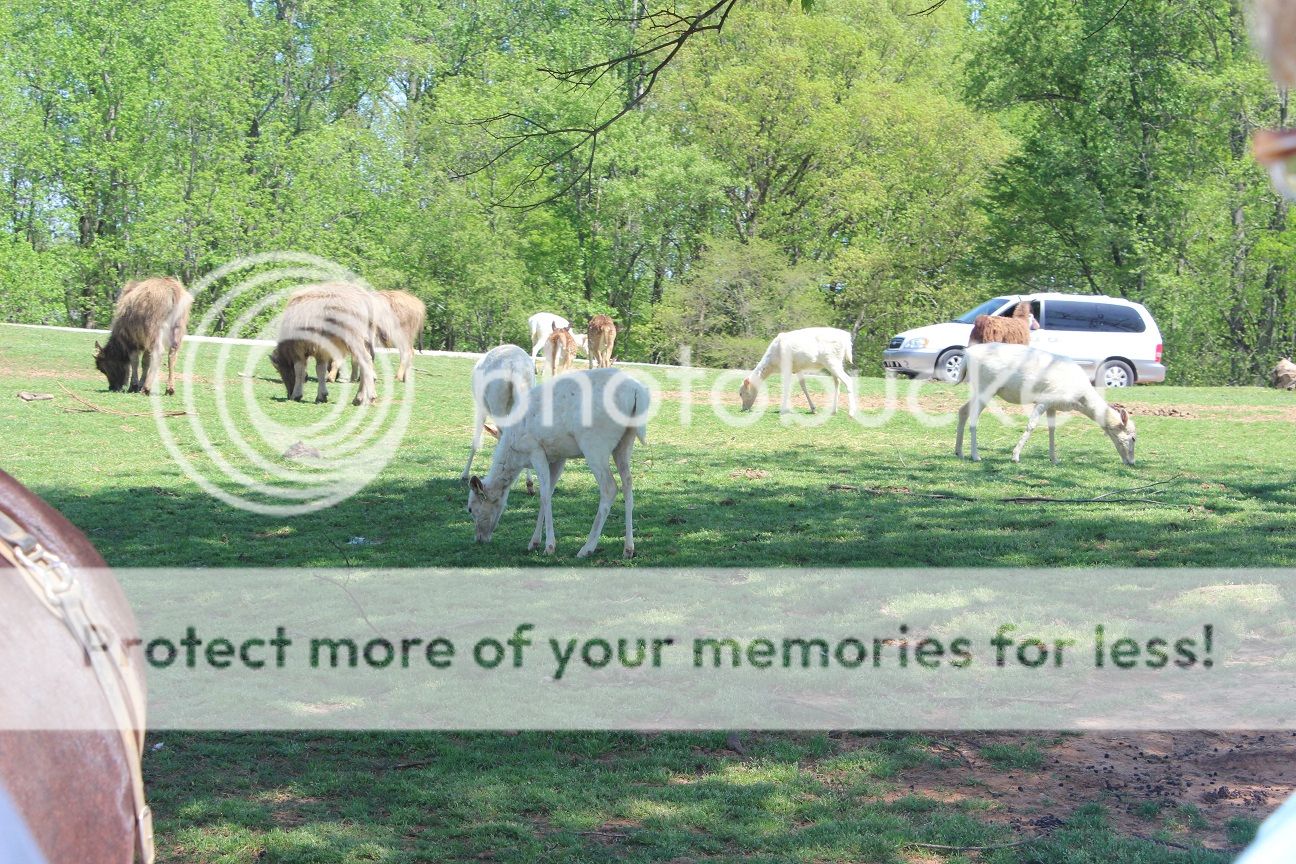 photo party21_zps38ce82bc.jpg