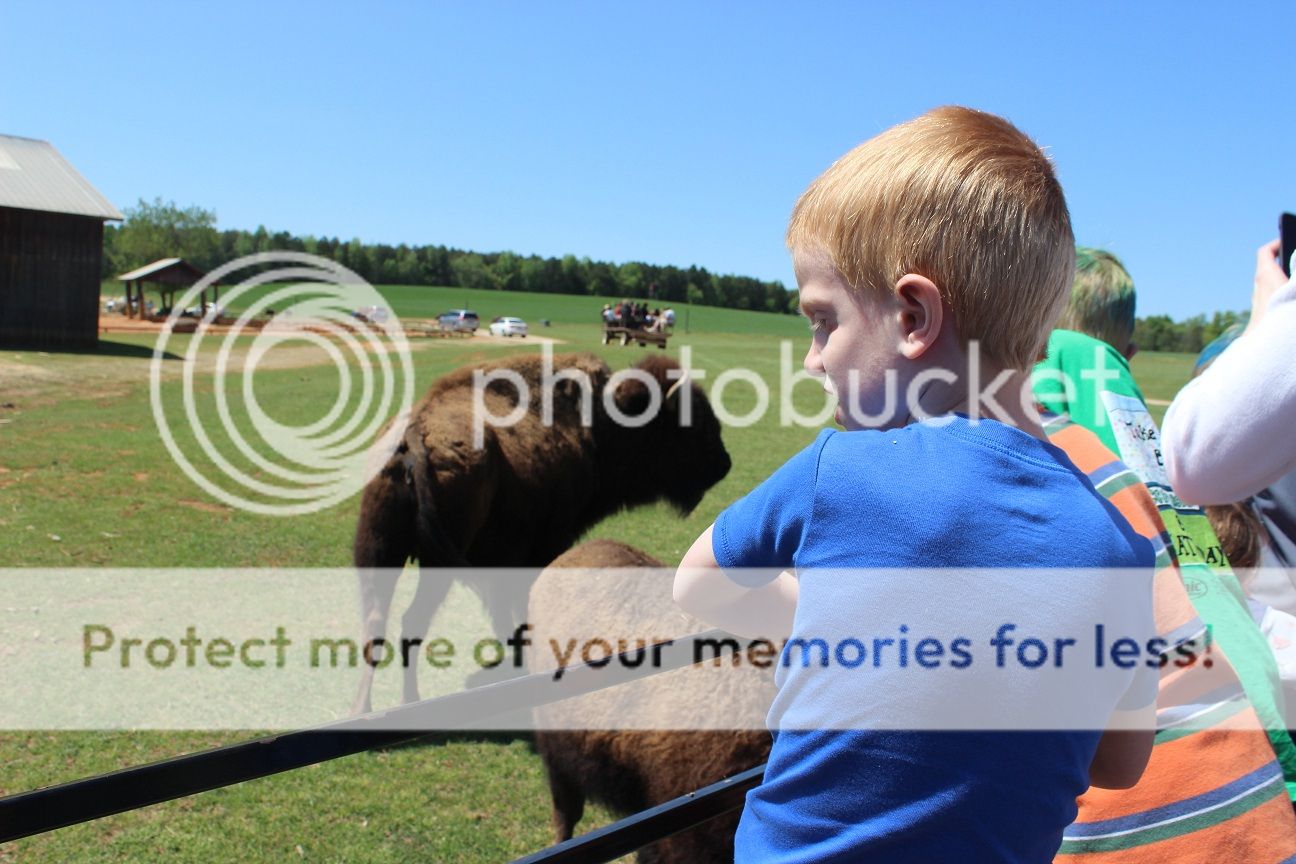 photo party25_zps18c71fb8.jpg
