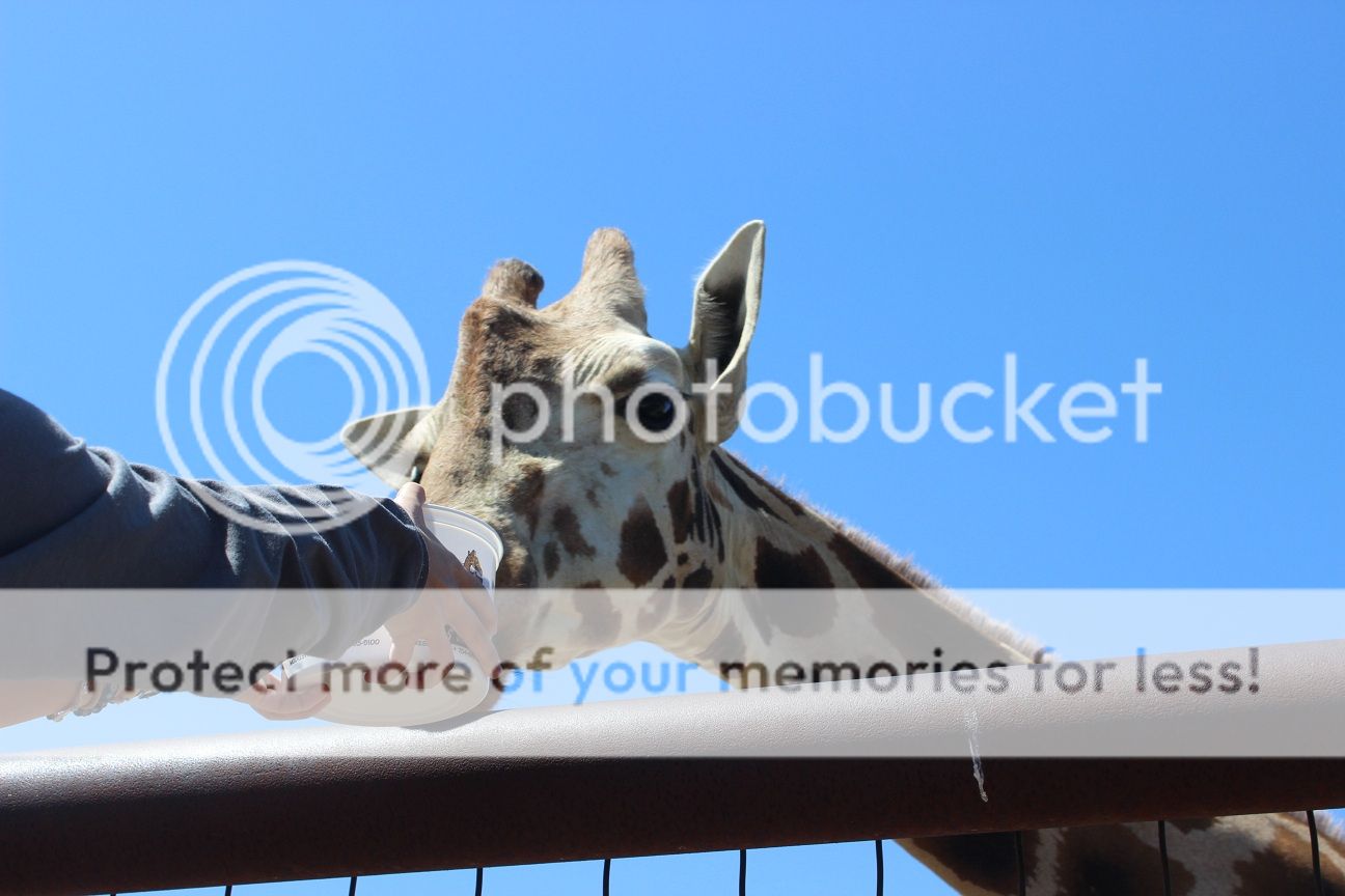 photo party29_zps104a01bf.jpg