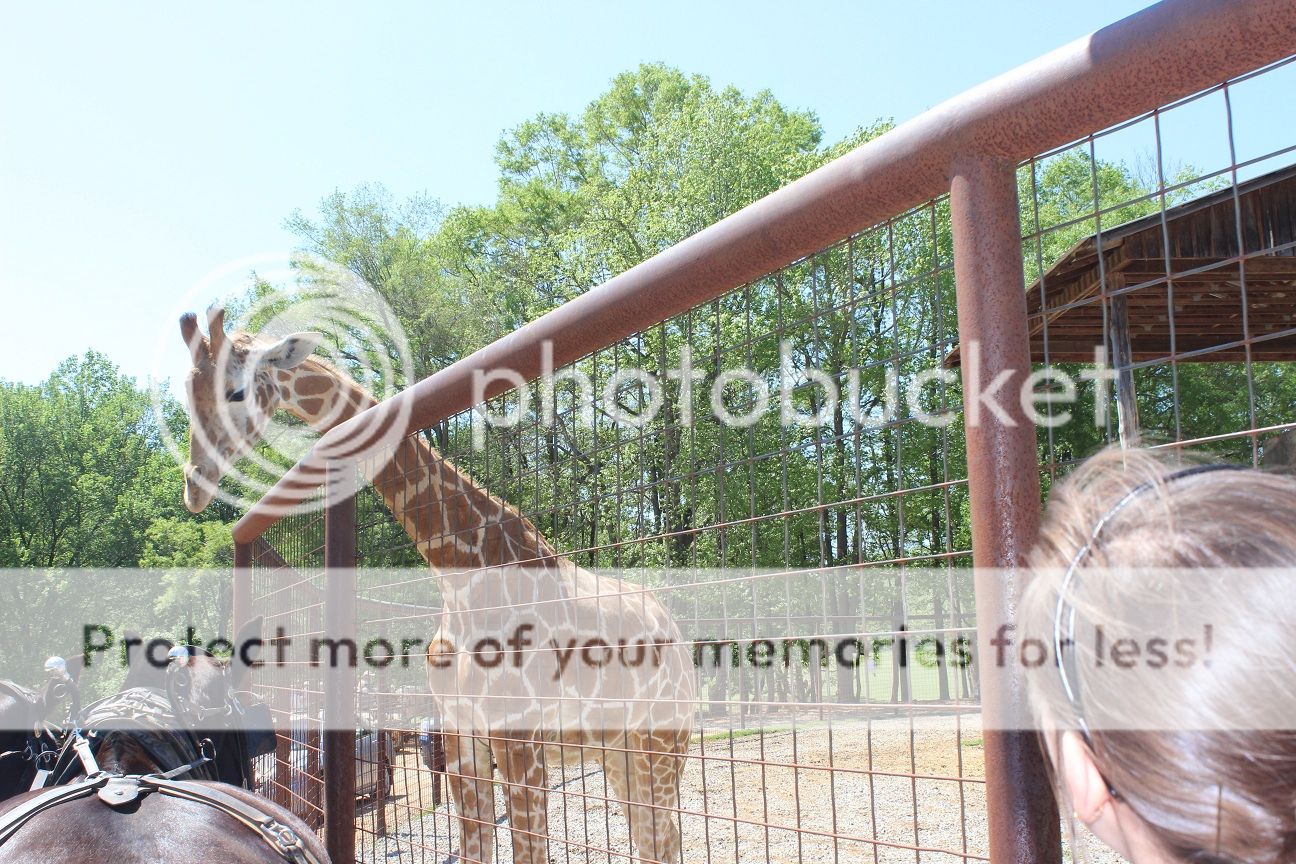 photo party33_zpsbc5013a1.jpg