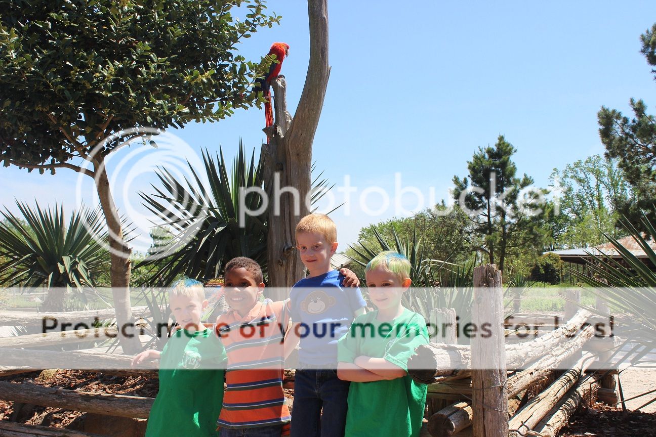 photo party4_zps187176fb.jpg