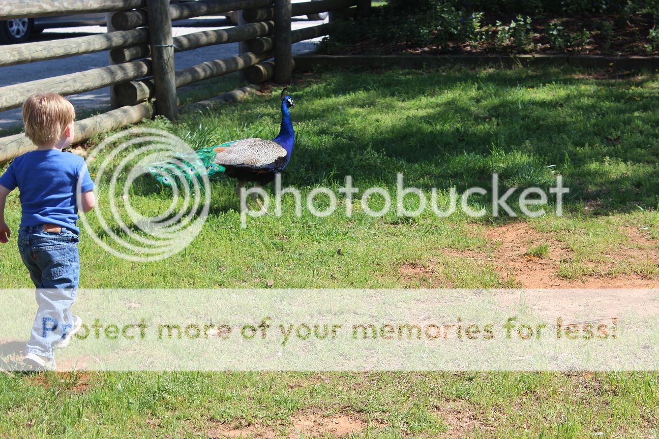 photo party70_zps90f8a3f1.jpg