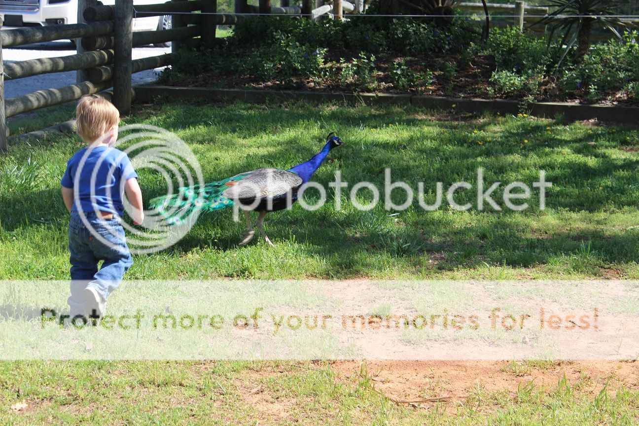 photo party71_zps4f6ffe8b.jpg