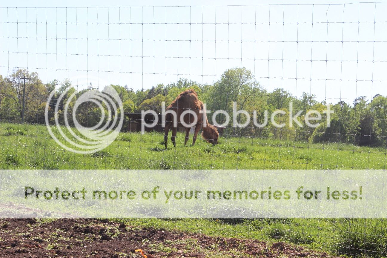 photo party83_zps50bf1ef4.jpg