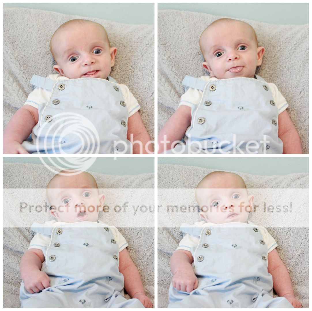 photo Mattox.collage10_zps0nemicsz.jpg