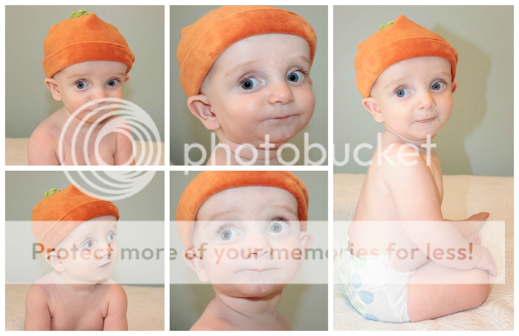 photo Mattox.collage10_zpsh08kcefv.jpg
