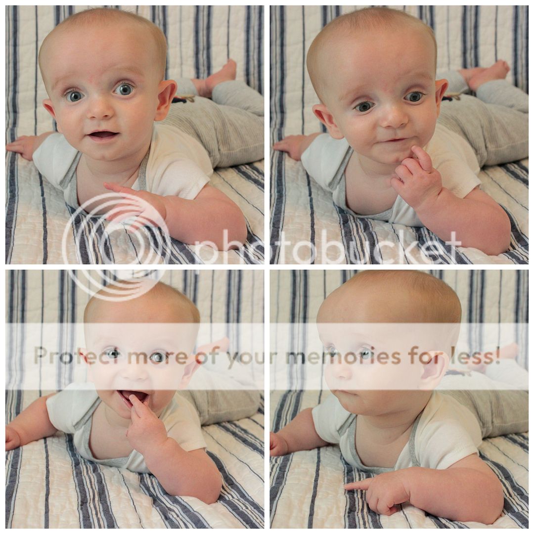 photo Mattox.collage1_zpsekt1d9lm.jpg