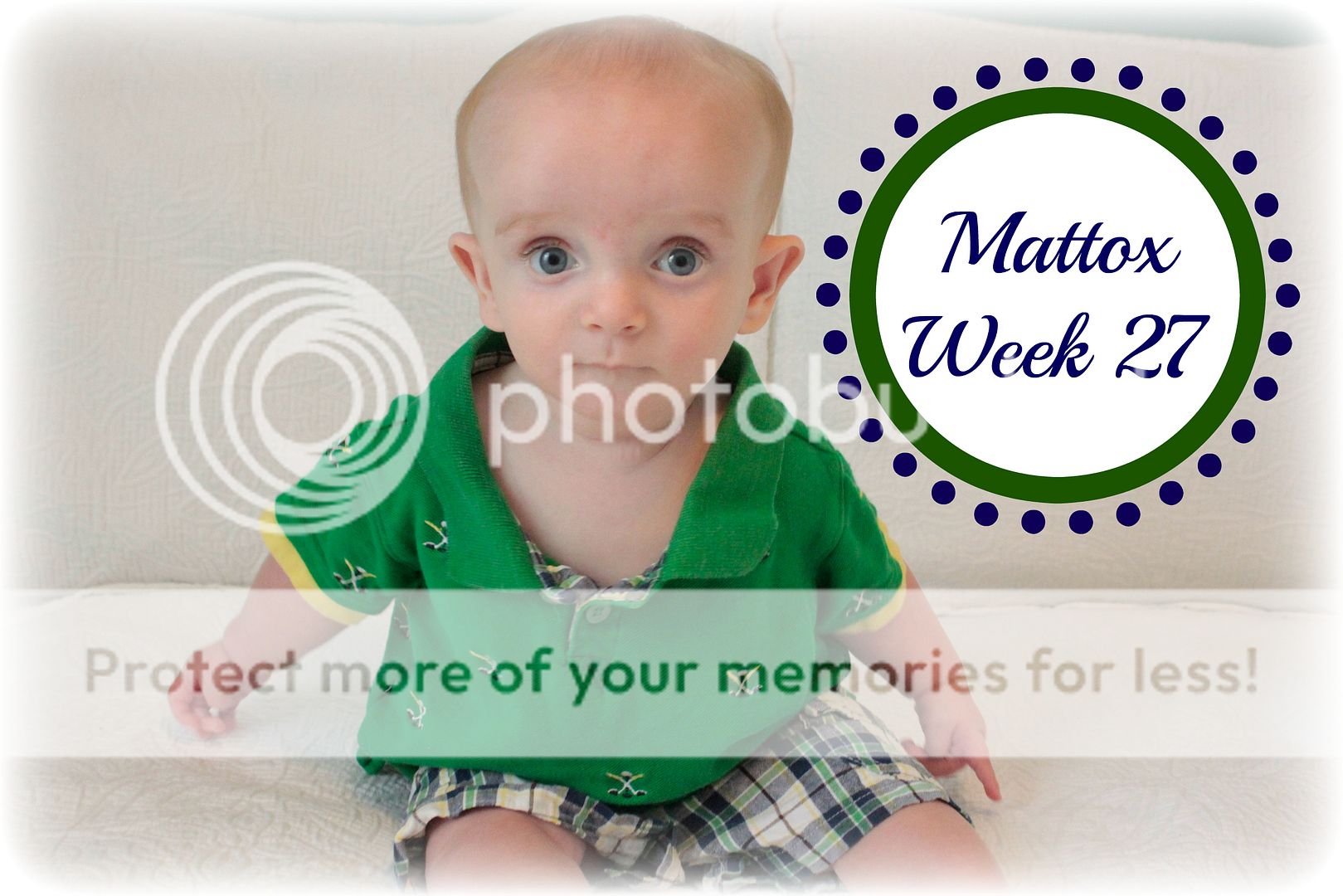 photo Week27_zps6qmglyq5.jpg