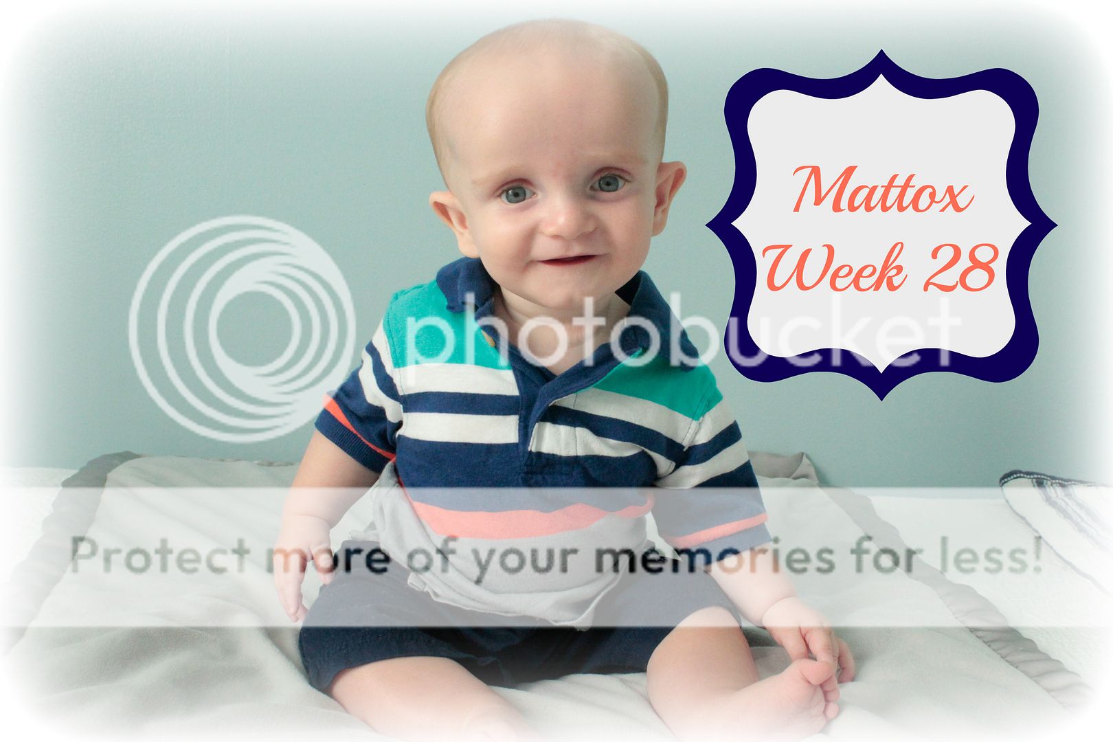 photo Week28_zpszdbxdibr.jpg
