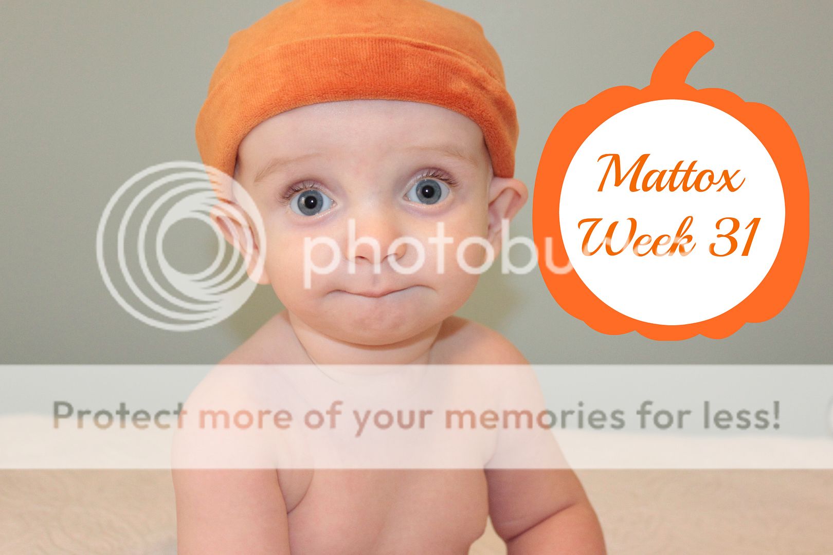 photo Week31_zpslqu0kbkh.jpg