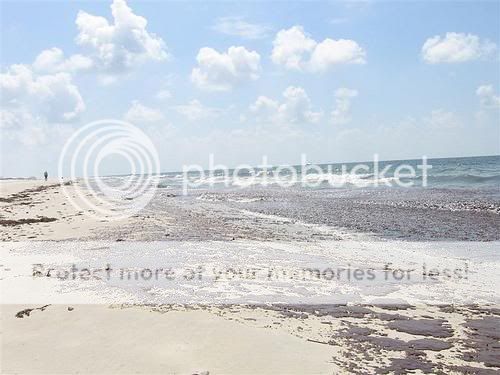 Will these beaches ever be white again?