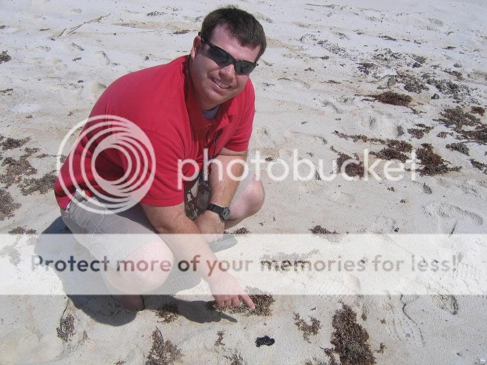 Eddie showing the oil strewn on the beach