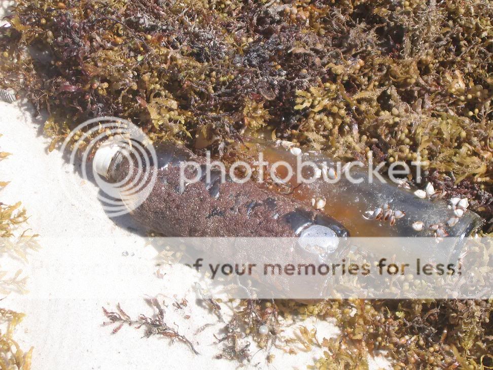 Oil coated water bottles washed up on shore