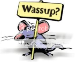 Whats Up Photo Picture