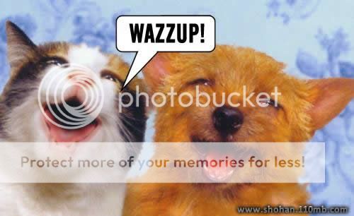 Whats Up Photo Picture