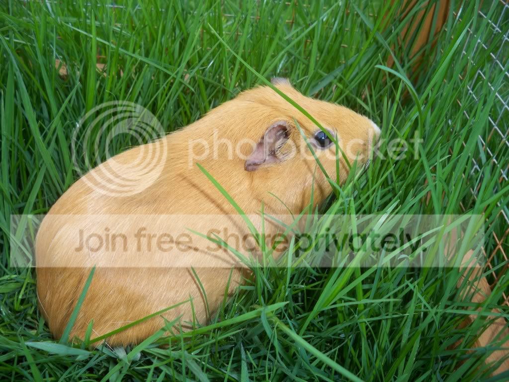 008-9.jpg
