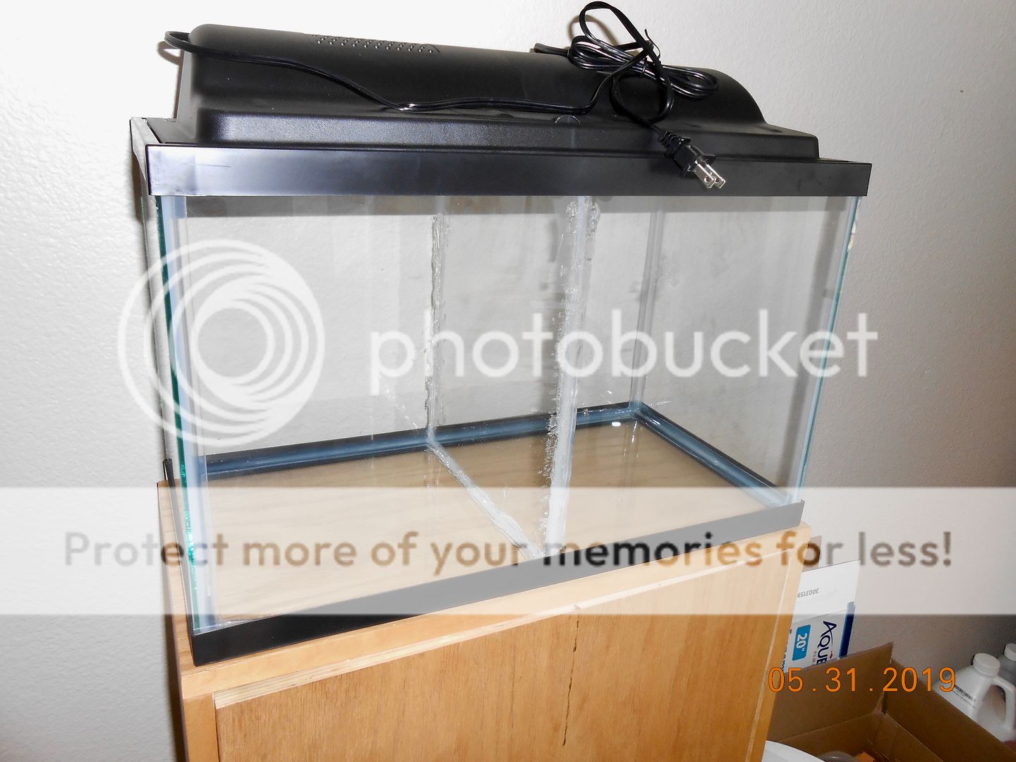 Tank Divider Aquatic Plant Forum